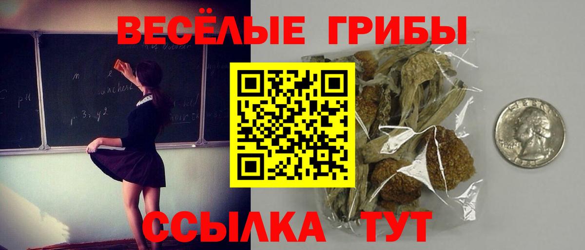 Ртищево  как найти   Вход с VPN  Псилоцибиновые грибы GOLDEN TEACHER 